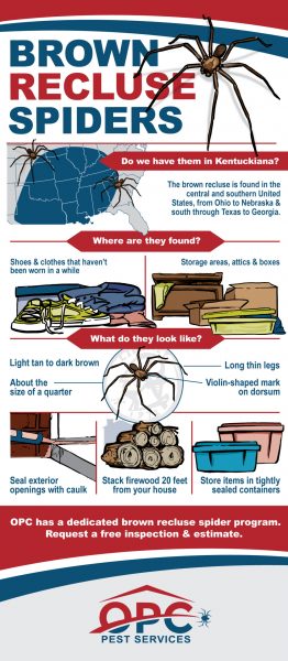 OPC-Pest-Services-Brown-Recluse-Spiders-Infographic