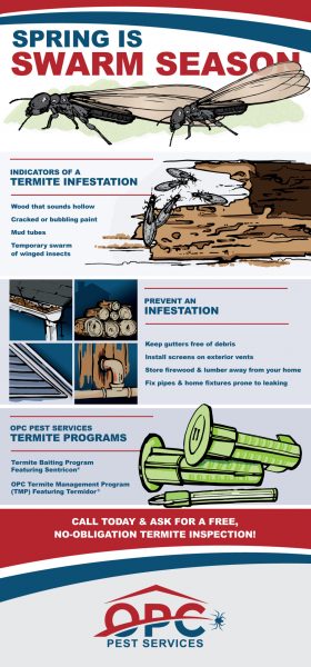 OPC-Pest-Services-Termite-Swarms-Infographic