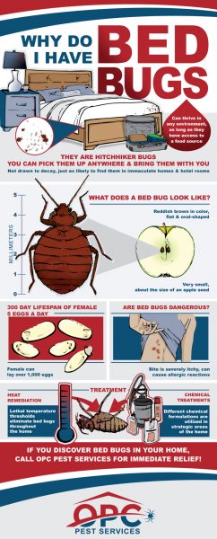 OPC-Pest-Services-Why-Do-I-Have-Bed-Bugs-Infographic